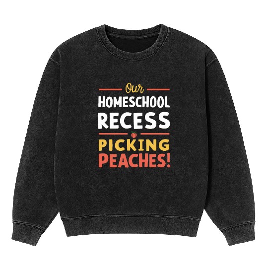 Georgia Homeschool Adventures Georgia Mineral Wash Sweatshirts