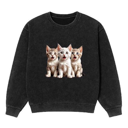 Surprised Kittens Mineral Wash Sweatshirts