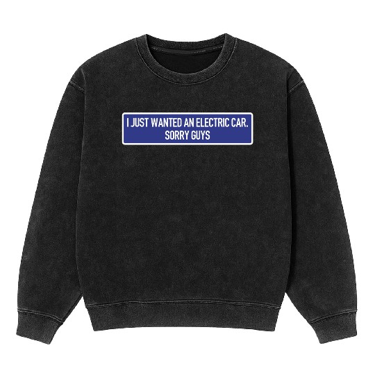 I just wanted an electric car - Anti Elon Musk no Mineral Wash Sweatshirts
