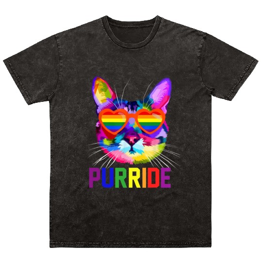 Gay Pride Mineral Wash T Shirts for Women Men LGBT Cat Gift