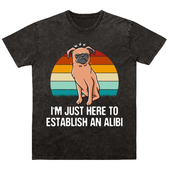 Im Just Here to Establish an Alibi Funny Sarcastic Mineral Wash T Shirts
