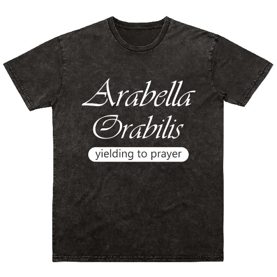 Arabella Music Arctic Monkeys Arctic Band Mineral Wash T Shirts