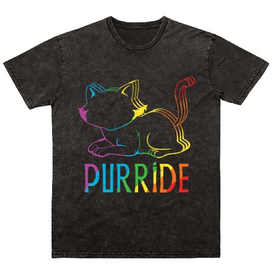 Kitten Cat Gay LGBTQ Rainbow LGBT Pride Month Mineral Wash T Shirts