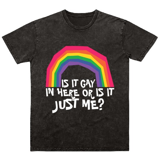 LGBTQ Proud Ally Trans Gay Pride Is It Gay Here Mineral Wash T Shirts