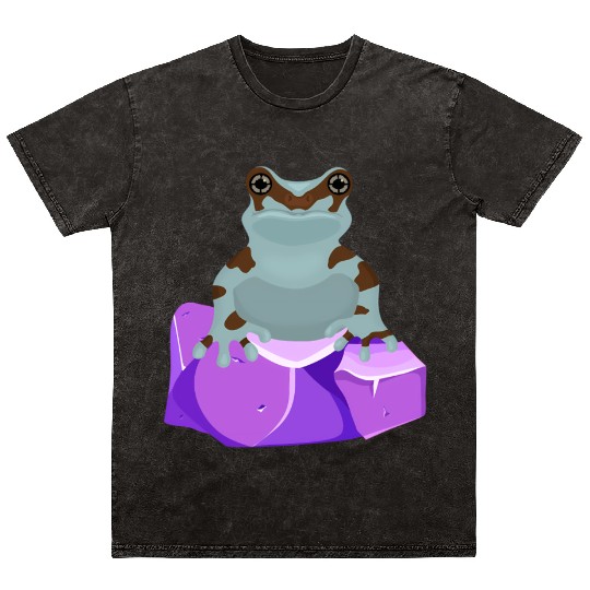 Frog Crystal Amethyst Gemstone For Toad Owners Mineral Wash T Shirts