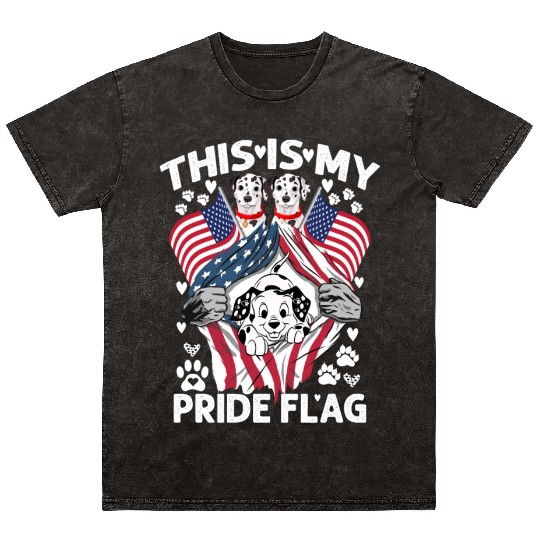 Dalmatian Pride Flag Mineral Wash T Shirts