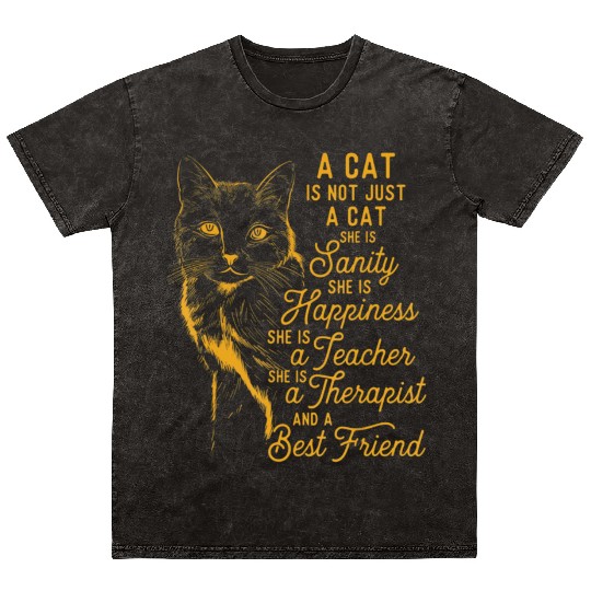 A Cat Is Not Just A Cat Cat Lover Cute Kitten Mineral Wash T Shirts