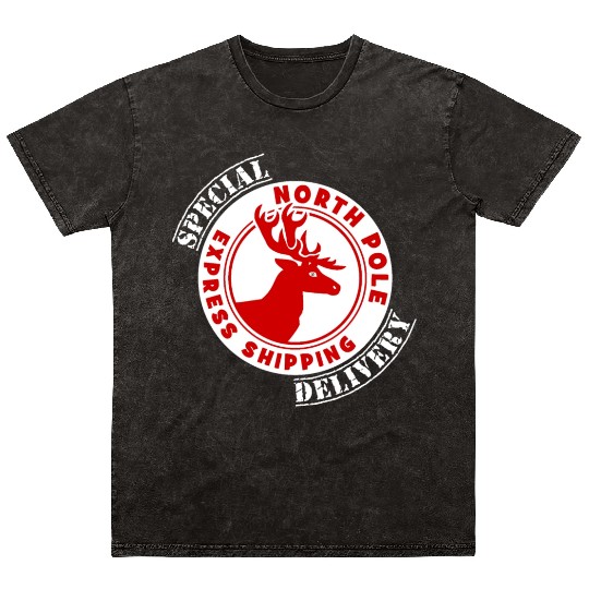 NORTH POLE SPECIAL DELIVERY Mineral Wash T Shirts