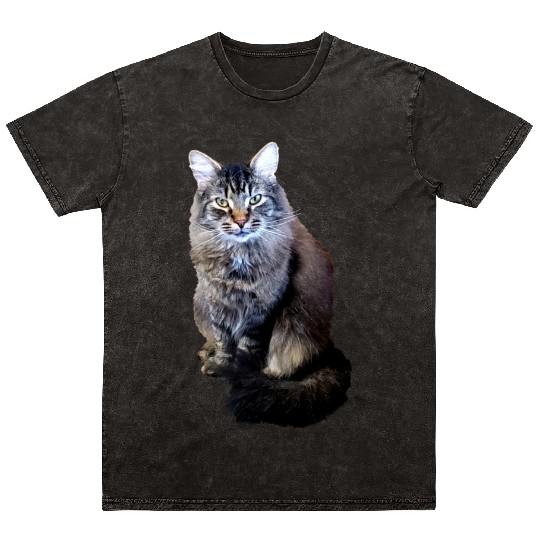 Indie the Cute Cat Mineral Wash T Shirts