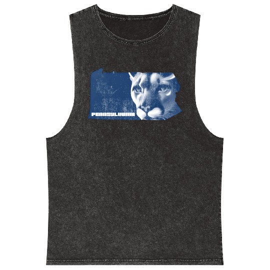Pennsylvania Mineral Wash Tank Tops