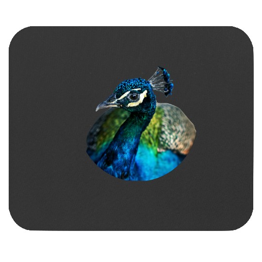 Disney-Up Shirt, Kevin Up Shirt, Up Balloon Shirt, Disney-Balloon Mouse Pads