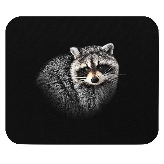 A Gentle Raccoon Mouse Pads
