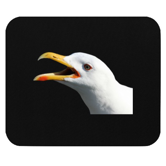 seagull gull moewe1 Mouse Pads