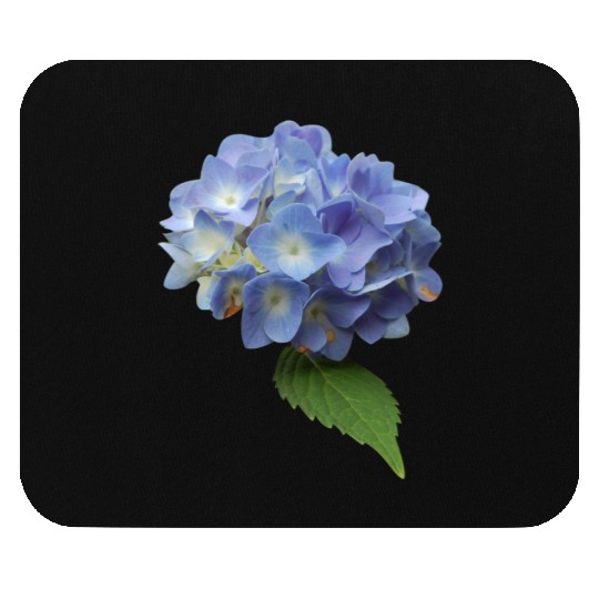 flowers lilies tulips orchids sunflower dahlia ger Mouse Pads