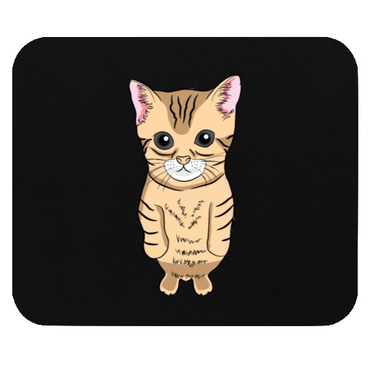 Cute Standing Cat Meme Cute Kitten Standing on Two Mouse Pads
