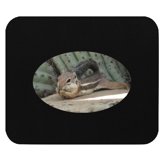 Harris's antelope squirrel Mouse Pads