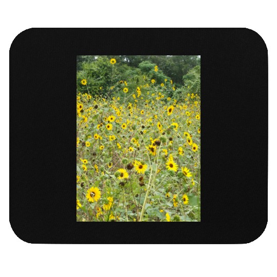 My Photography - Swamp Sunflowers in Texas Mouse Pads