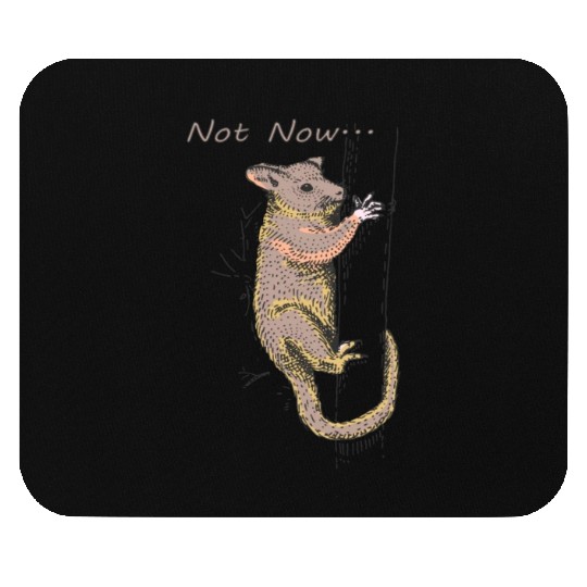 Funny Opossum, Opossum Not Now Mouse Pads