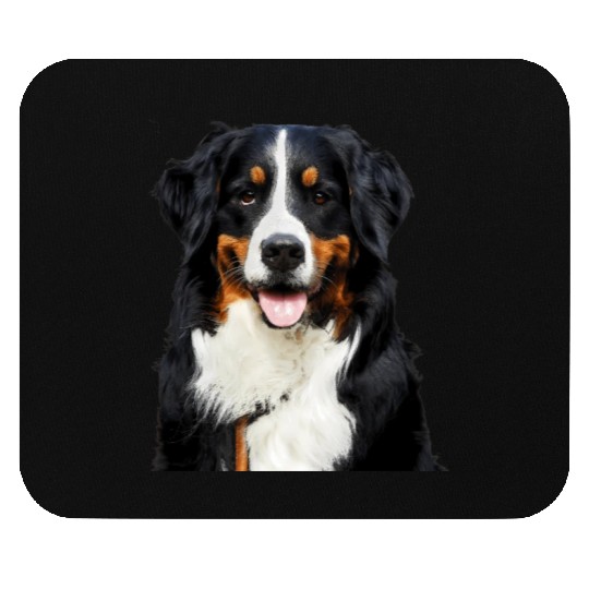 Portrait Of Bernese Mountain Dog Mouse Pads