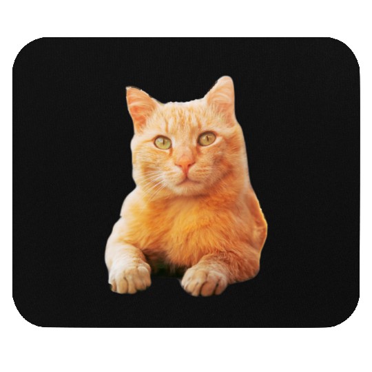 Orange Cat Mouse Pads