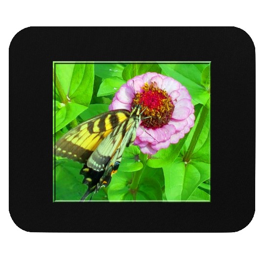 Butterfly and Zinnia Mouse Pads