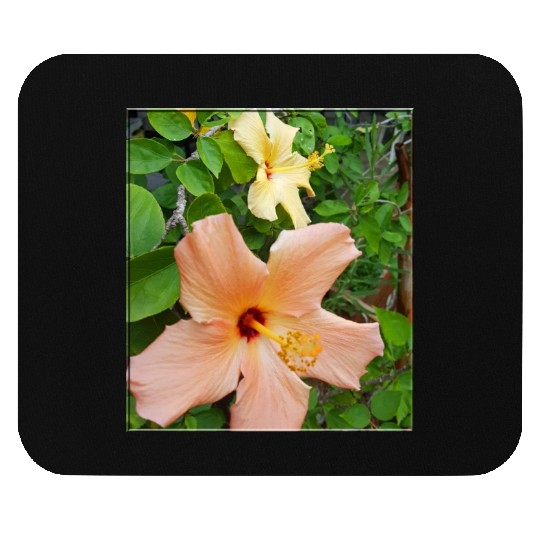 Hibiscus 5 Mouse Pads