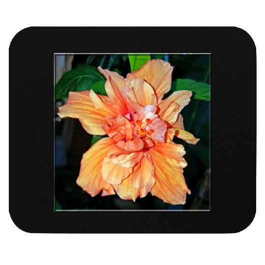 Hibiscus 2 Mouse Pads