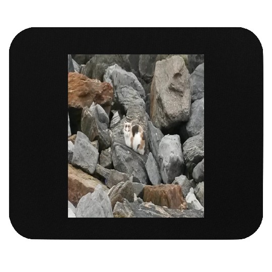 Camouflage Cat On Rocks Gifts for Animal Lovers Mouse Pads