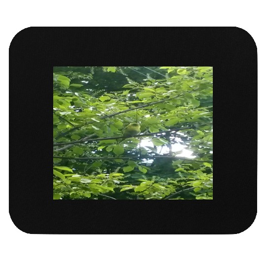 Camouflage Parakeet in Tree Gifts for Animal Lover Mouse Pads