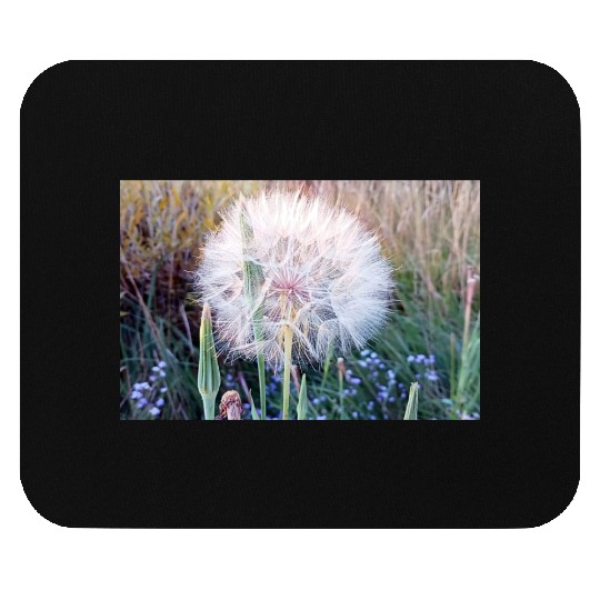 Beautiful Look at a Western Salsify #101 Mouse Pads