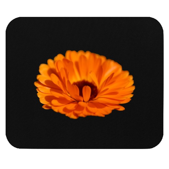 orange flower marigold Mouse Pads