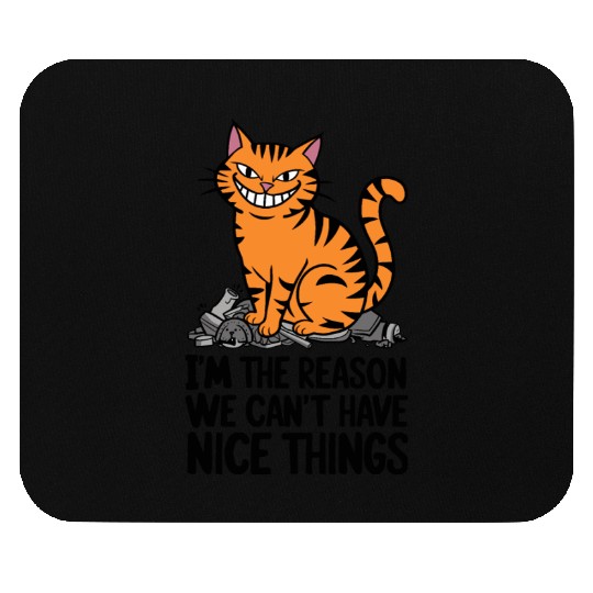 Orange Tabby Cat Reason We Can't Have Nice Things Mouse Pads