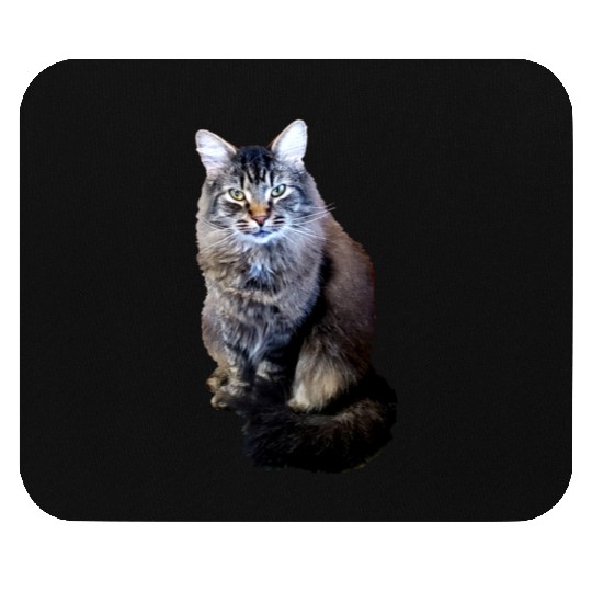 Indie the Cute Cat Mouse Pads