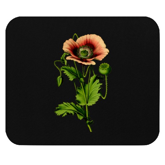 Opium poppy 4 Mouse Pads