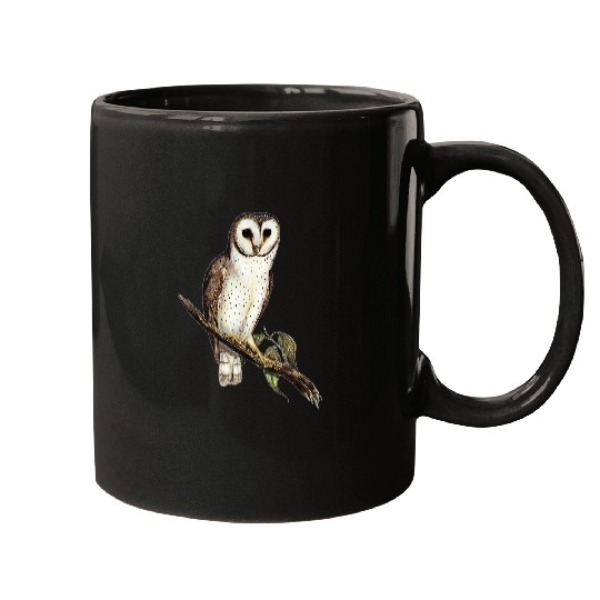 Barn Owl Illustration Of Bird On Branch Mugs