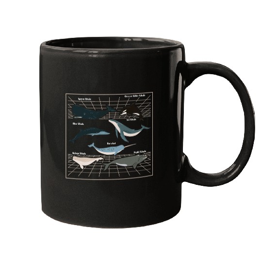 Whales Types of Whales Marine Mammal Sea Life Marine Biologist Mugs