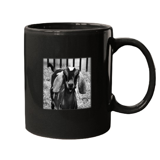 Goats Pet Nubian Goats Livestock Show Mugs
