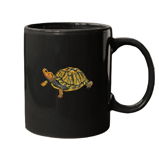 Turtle Pet Box Turtle Realistic Illustration Shell Animal Mugs