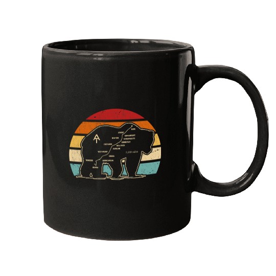 Bear Pet Appalachian Trail Bear Symbol Of Appalachian National Park 8 Mugs