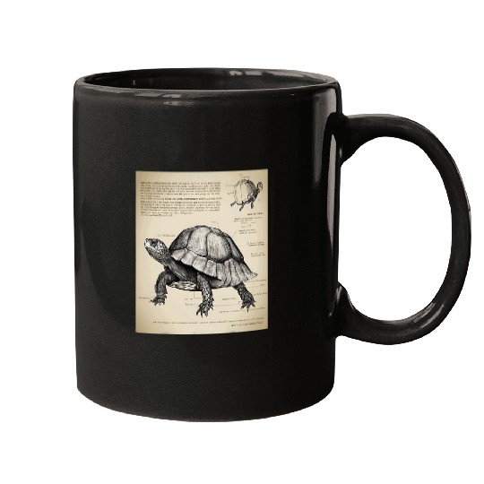 Turtle Pet Box Turtle Structural Blueprint Mugs