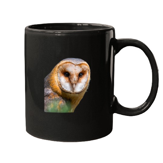 Owl Pet Barn Owl Bird Ornithology Mugs