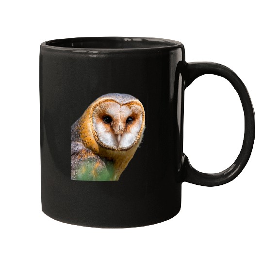 Owl Pet Barn Owl Bird Ornithology Mugs