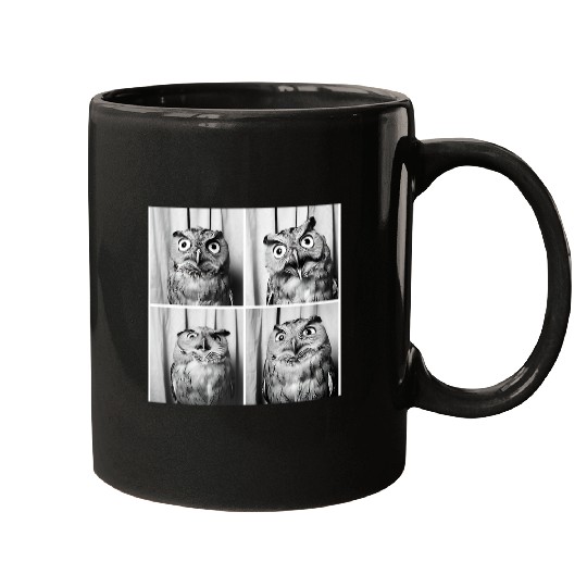 Owl Pet Face Owl Lover Funny Bird Wildlife Mugs