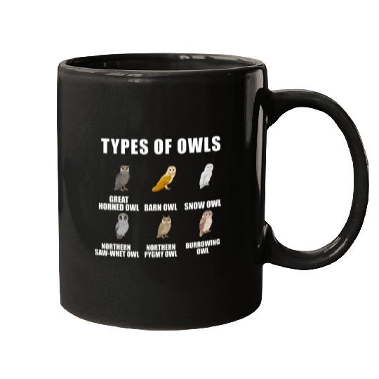 Owl Pet Types Snow Barn Birdwatching Birds Mugs