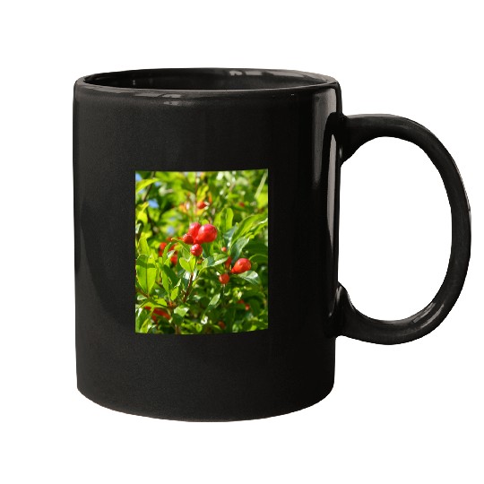 Pomegranate Closed Red Flower Bud Photography Mugs