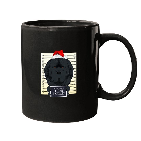 Dear Santa I Can Explain Funny Christmas Newfoundland Mugs
