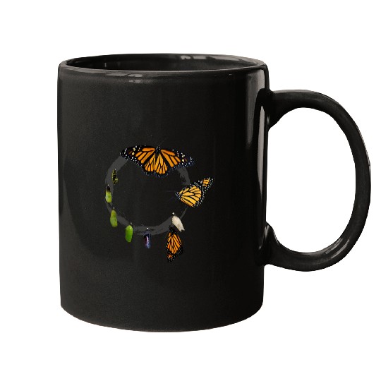 Monarch Butterfly Chrysalis Cycle Nature Lover Gift Mugs