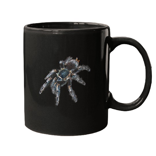 Zebra Tarantula Spider Mugs