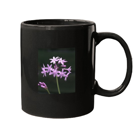 Society Garlic Close Up Photograph Mugs