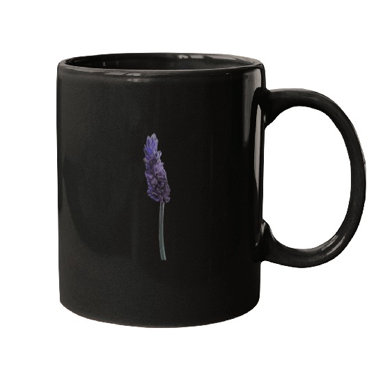 Lavender Flower Illustration Mugs